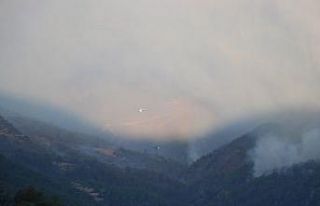 Mersin’deki orman yangınına havadan müdahale...