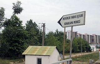 Mevsimlik fındık işçileri için pandemi koşullarına...