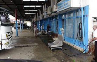 Mezgit, tarihinin en yüksek fiyatını gördü