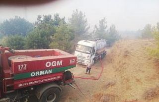 Mezitli Belediyesi, yangının söndürülmesine destek...
