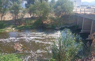 MHP’li başkandan Tunç Soyer’e sert tepki