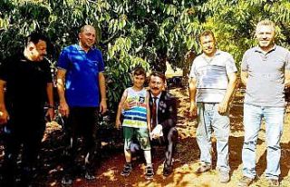 Mihalıççıklı çiftçilerin üretim sevinci