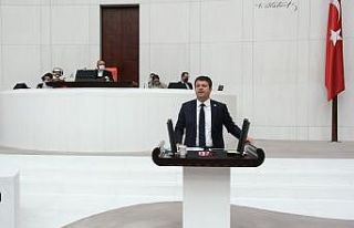 Milletvekili Tutdere, mecliste tütünü konuştu