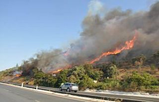 Muğla’da orman yangınları korkutuyor