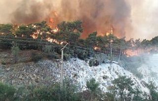 Muğla’nın bazı bölgelerinde yangın dolayısıyla...
