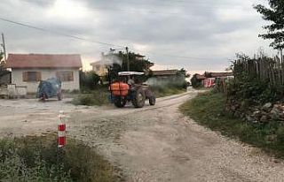 Muhtar köyü sineklere karşı ilaçlıyor