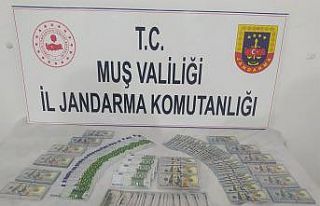 Muş’ta 2 milyon TL’lik sahte döviz ele geçirildi