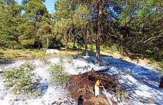 Mustafakemalpaşa’da çıkan orman yangına zamanında...