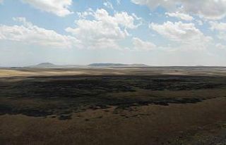 Ne bir damla su ne de kuş kaldı