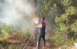 Nevşehir itfaiyesi, Kozan’a yardıma gitti