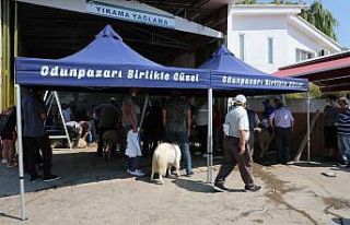Odunpazarı Belediyesinin ücretsiz kurban kesim yeri...