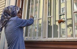 Oğlu teslim olan anne Ayşegül Biçer, HDP il binasına...