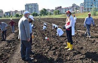 OMÜ’ye tıbbi-aromatik bitki bahçesi