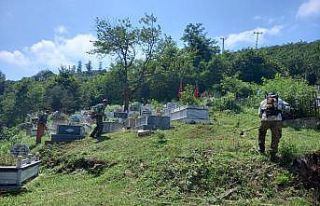 Ordu’da mezarlıklar bayrama hazır