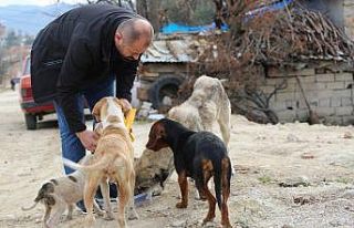 Orhaneli Belediyesi’nden sokak hayvanları için...