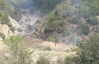 Orman yangını vatandaşların desteğiyle kısa...