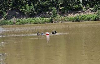 Ormanlık alanda kaybolan down sendromlu Emine’yi...