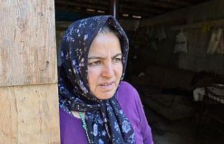 Ormanlık alanda kaybolan down sendromlu genç kızı...