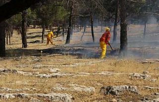 Ormanlık alanda korkutan yangın
