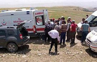 Ormanlık alanda odun devrilmesi sonucu can verdi