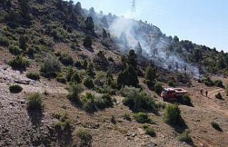 Ormanlık sahada çıkan yangın kontrol altına alındı