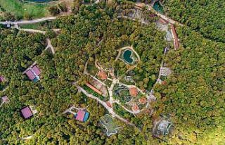 Ormanya’ya uluslararası ödül