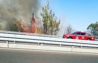 Ortaca’da ormanlık alanda çıkan yangın kontrol...
