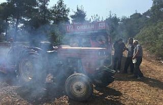 Osmaneli’de 10 hektar ormanlık alan yandı