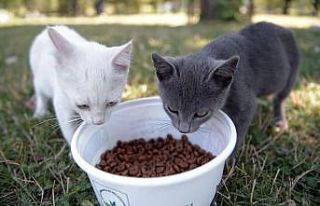 Osmangazi’de can dostlar emin ellerde