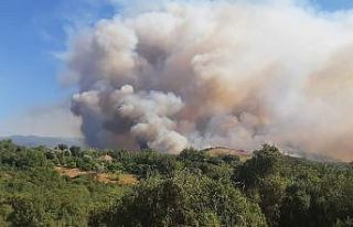Osmaniye Valisi Erdinç Yılmaz’dan orman yangını...