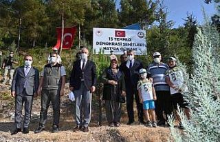 Osmaniye’de 15 Temmuz şehitleri anısına fidan...