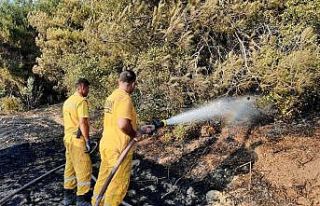 Osmaniye’de tarlada başlayıp ormanlık alana sıçrayan...