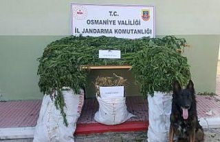 Osmaniye’de uyuşturucu operasyonu