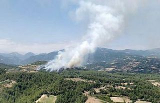 Osmaniye’de yangını kontrol altına alma çalışmaları...