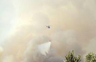 Osmaniye’deki orman yangını kısmen kontrol altına...