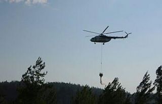 Osmaniye’deki orman yangınında soğutma çalışmaları...