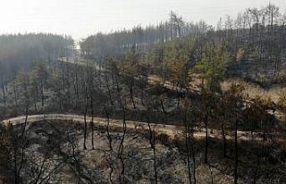 Osmaniye’deki orman yangınında yanan alanlar havadan...