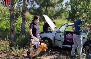 Otomobil tarlaya uçtu: 2 yaralı