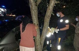 Otomobil yoldan çıktı: 2 yaralı