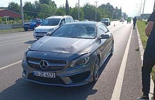 Otomobilin çarptığı yaya hayatını kaybetti