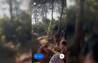 Özçekim yapıp kayınvalidesine intihar edeceği...