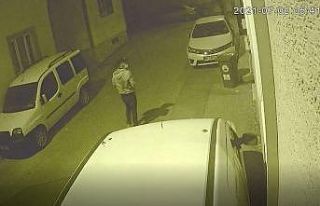 (Özel) Açık kalan evin camından içeri böyle...