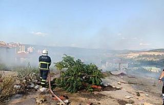 (ÖZEL) Bilecik’te makilik alanda yangın
