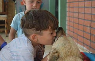 (ÖZEL) Bu mahallenin köpekleri tertemiz