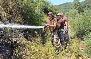 Özel harekat polisi, yangından kurtardığı kaplumbağa...