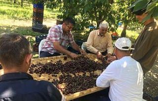 (ÖZEL) Hasadın tek eğlencesi radyo dinlemek