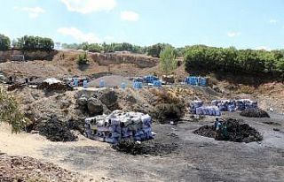 (Özel) Kavurucu sıcakta kan ter içinde ekmek mücadelesi