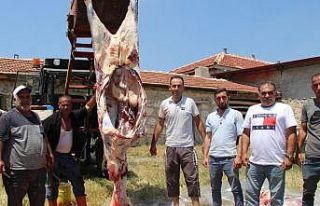 (ÖZEL) Köy halkından herkese örnek olacak kurban...
