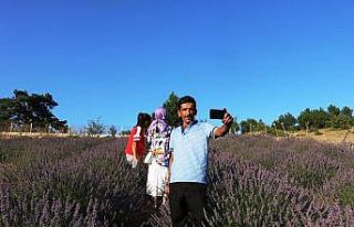 (ÖZEL) Köydeki lavanta tarlası fotoğraf tutkunlarının...
