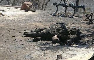 (Özel) Sarılar’da yeniden yükselen alevler evleri...